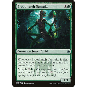 Broodhatch Nantuko [Masters 25] - Tistaminis